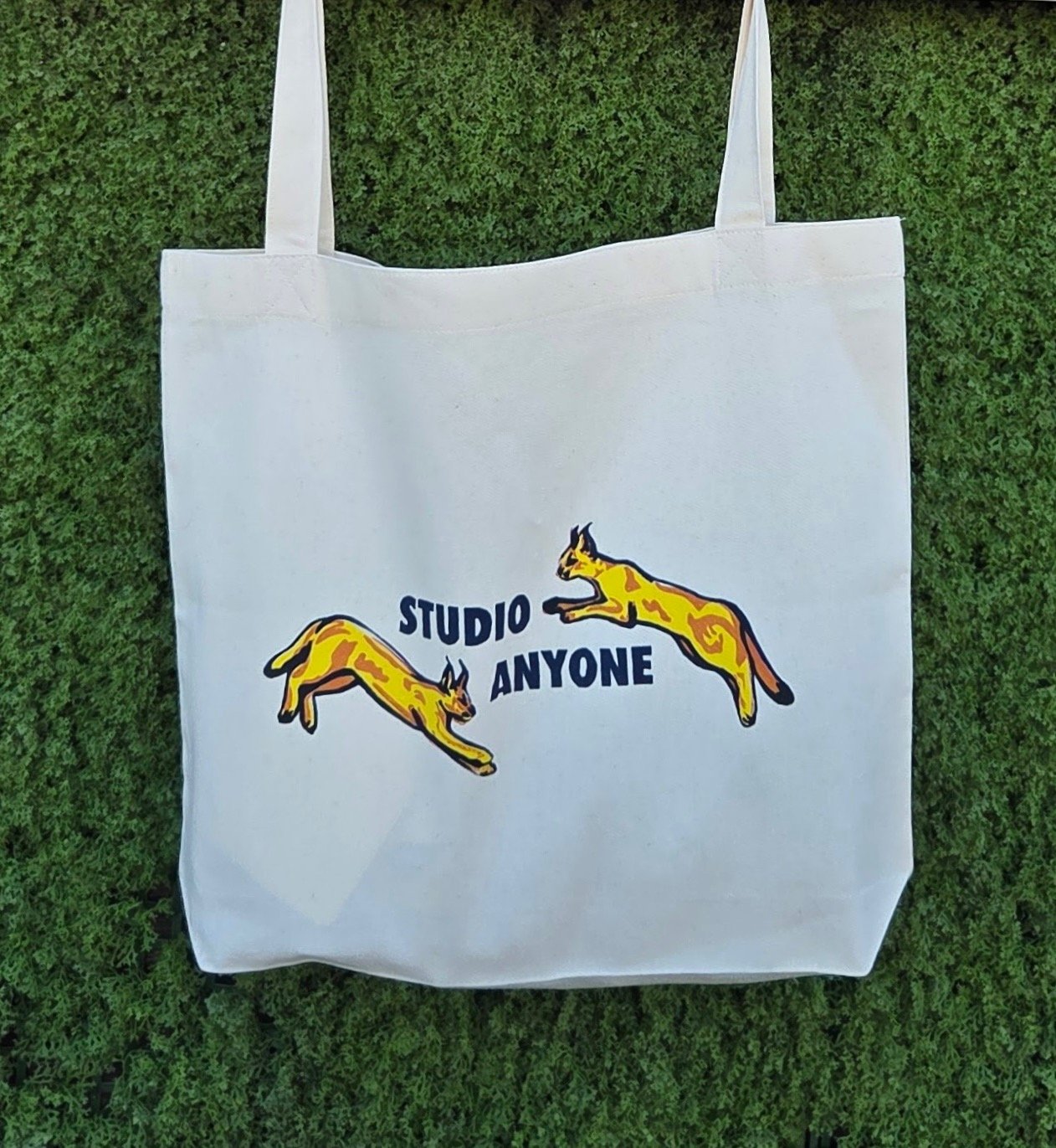 Studio Anyone Tote Bag Against Green Background Studio Anyone Tote Bag Against Green Background